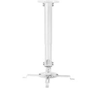 Aisens Support plafond pour projecteur CP04TSRE-133/ Inclinaison-Extension-Rotation/ Jusqu'à 13,5kg