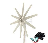 AISINILALAO Ensemble d'éolienne Verticale, 4000W 12V 24V 48V 220V Éolienne 10 pales avec contrôleur MPPT, générateur éolien sans Bruit pour Usage Domestique (Blanc),48v