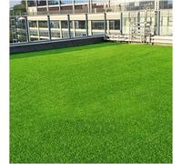 AISNXOQI Artificiel Grass Turf Outdoor Garden Lawn Tapis 2 * 2m 2m 2,5 cm Mat à Herbe synthétique de 2,5 cm d'épaisseur pour Les patios du Paysage Fake Grass Tapis