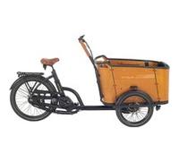 AITOUR Family C Vélo Electrique Cargo (Moyeu Enviolo Heavy Duty)