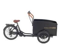AITOUR Starter Vélo Electrique Cargo