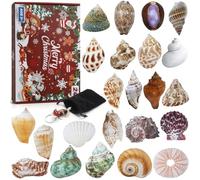 Aitsite Calendrier de l'Avent 2025 en forme de coquillages, 24 jours de coquillages naturels, collection de coquillages, calendrier de compte à rebours pour garçons et filles