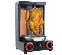 AityBuy Grill à Kebab électrique, Four Rotatif Vertical De Comptoir, Machine à Brochettes Rotatives Automatiques, Machine à Gril à Gaz, Cuisinière à Barbecue Black-DoubleKnob