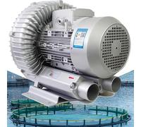 AityBuy Souffleur Annulaire De Pompe à Vide Industriel De 0,16 Ch à 2,01 Ch, Souffleur Haute Pression,Souffleur De Pompe à Air Industriel, Monophasé, pour L'aquaculture 1100W/1.49HP