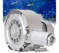 AityBuy Ventilateur Soufflant Commercial, Pompe à Air Vortex pour Aquaculture, Ventilateur Régénératif 380 V, Ventilateur Vortex Haute Pression,Triphasé 700W/380V