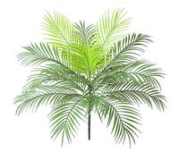 AIVORIUY Palmier tropical en plastique - 15 feuilles - 63 cm - Arrangement floral - Décoration intérieure et mariage