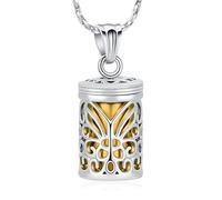 AIWENXI Bijoux cylindriques pour cendres creuses en forme de papillon pour hommes et femmes en acier inoxydable avec pendentif commémoratif pour les amoureux des animaux domestiques