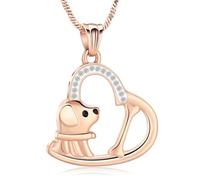AIWENXI Collier urne funéraire en forme de cœur en cristal pour hommes et femmes en forme de chien - Bijou de crémation pour cendres - Acier inoxydable - Souvenirs d'animaux de compagnie