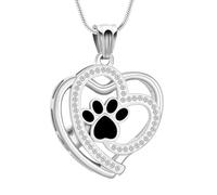 AIWENXI Collier urne funéraire pour animaux de compagnie en acier inoxydable en forme de cœur pour homme et femme, Acier inoxydable