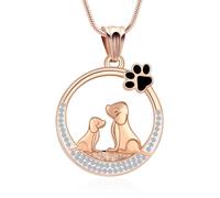 AIWENXI Mini collier de crémation en forme de chien pour cendres de chien en forme de patte de chien urne collier pour homme et femme en acier inoxydable cristal rond souvenir pendentif cendres