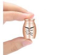 AIWENXI Petite urne funéraire pour cendres - Pour homme ou animal de compagnie - Ailes or rose