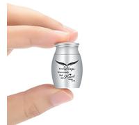 AIWENXI Petite urne funéraire pour crémation - Keepsake pour l'homme ou l'animal de compagnie - Support souvenir pour cendres (ailes argentées)