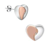 AIWENXI Petites boucles d'oreilles crémation en forme de cœur pour cendres d'animaux de compagnie - Porte-cendres - Bijoux souvenirs - Bijoux pour hommes et femmes, 0.51in*0.51, Acier inoxydable