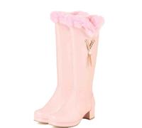 aixizi Bottes de Neige Chaudes, Bottes Hautes pour Femmes, Bout Rond, Talons épais, Talons Hauts, Fermeture éclair latérale, imperméables, antidérapantes, Bottes Hautes Pelucheux,Rose,40 EU