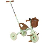 AIYAPLAY Kids Tricycle for 2-5 Years Old, 2-in-1 Toddler Trike with Adjustable Parent Handle, Pedals, Footrests, Storage Basket, 3 Wheel Bike for Boys and Girls, Green (Tricycle pour Enfants de 2 à 5