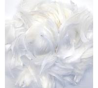 AIZHAZHA Plume Blanche, 300 Pièces Plumes Loisirs Creatifs, Plumes Blanches, Plumes Decoration, Longueur 5 à 8 cm, Plumes Naturelles, pour Attrape-Rêves, Boucles d'oreilles, Mariage, Festival