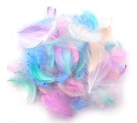 AIZHAZHA Plumes Loisirs Creatifs, Plume Blanche, Plumes colorées, 200 Pièces Plumes Decoration, Longueur 5 à 8 cm, Plumes Naturelles, pour Attrape-Rêves, Boucles d'oreilles, Mariage, Festival