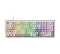 AJAZZ AK980 Clavier mécanique filaire à 98 %, Disposition QWERTY US, Montage sur cales, Rétroéclairage arc-en-ciel - Prise en charge du remplacement à chaud - Blanc & Gris