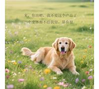 AJTXCSFOQL Filet d'ombrage 75% Protection Solaire Aluminet Bâche, 3.5m 4m 8m 14m 6m 10m 12m 7m 15m 9m Aluminium Voile pour Couverture de Serre Patio Plante Fleur Poulailler Abri D'auto(3.5 x 4m)