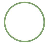 Ajusa 24054300, Joint d'étanchéité, collecteur d'admission