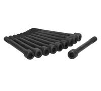 AJUSA 81029900 Jeu de Boulons de Culasse de Cylindre