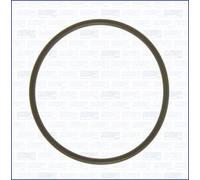 AJUSA Joint pompe à vide 16058800