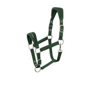 AK Licol pour Cheval Doux et Rembourré Confort Supérieur avec Rembourrage, Sangles Réglables à la Muserolle et à la Nuque Licol Doux, Résistant et Sécurisé pour Chevaux 6070 (Vert forêt, Pony/ (S))