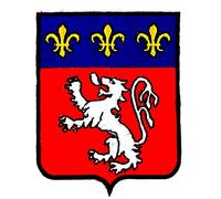 Akacha Patch ecusson brodé rhones Alpes Lyon Blason armoirie Drapeau Region heraldique