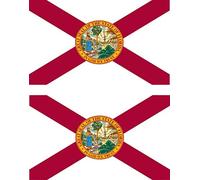 Akachafactory 2 x Autocollant Sticker Voiture Moto Vinyl Drapeau USA americain Florida