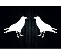 Akachafactory 2X Autocollant Sticker Corbeaux Oiseau Raven odins Viking Crow Voiture Moto r5
