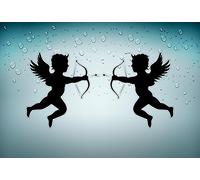 Akachafactory 2X Autocollant Sticker Voiture Moto Ange Angel Amour muraux Ailes Cupidon r2
