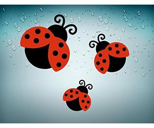 Akachafactory 3X Autocollant Sticker Voiture Moto Coccinelle Decoration Insecte