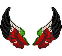 Akachafactory Autocollant Sticker Ailes Biker Motard Drapeau Pays JOR Jordanie