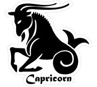 Akachafactory Autocollant Sticker Signe Zodiaque Astrologie Capricorn Capricorne Noir Blanc
