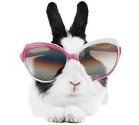 Akachafactory Autocollant Sticker Voiture Moto Lapin Lunette Drole Deco Enfant