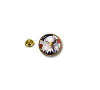 Akachafactory pins pin Badge pin's Metal Biker Motard Drapeau USA Etats Unis americain