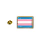Akachafactory pins pin Badge pin's Metal epoxy Drapeau Arc en Ciel Rainbow transgenre