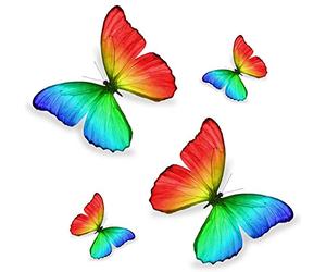 Akachafactory Set 4X Autocollant Sticker Voiture Moto Deco Papillon Arc en Ciel