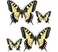 Akachafactory Set 4X Autocollant Sticker Voiture Moto Deco Papillon Jaune Bleu Rouge