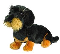 AKAH Teckel à poil dur
