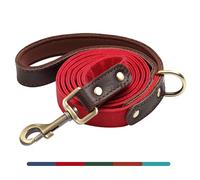 AKAILEA Laisse élégante pour chien en cuir synthétique, 1,5 m par 1,9 cm, pour chiens de petite et moyenne taille, poignée rembourrée douce et facile à nettoyer, laisse tendance pour la marche, la