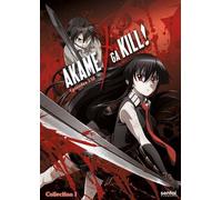 Akame Ga Kill 1 [Digital Video Disc] Anamorphic, Subtitled