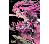 Akame ga kill! 10