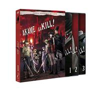 Akame Ga Kill Épisodes 1 à 12 / Akame Ga Kill Episodios 1 A 12 (DVD)