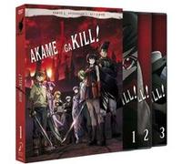 Akame Ga Kill Épisodes 1 à 12 / Akame Ga Kill Episodios 1 A 12 (DVD) G