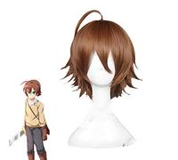 Akame Ga Kill! Tatsumi Cosplay perruque haute qualité chaleur court brun résistant cheveux synthétiques Peruca Anime Costume perruques KUZZ86041