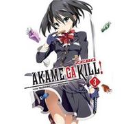 Akame Ga Kill Zero! 3 [Livre en VO] Takahiro (Auteur)