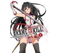 Akame Ga Kill Zero! Takahiro (Auteur)
