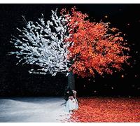 Akanesasu/Everlasting Snow [Import Allemand]