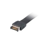 AK-CBUB37-50BK - Panneau USB - en-tête USB 3.1 de 20 broches pour 24 pin USB-C (F) - 50 cm
